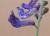 Img.VTax673.Ex3.Img1