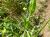 Img.VTax678.Ex1.Img1