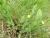 Img.VTax678.Ex1.Img2
