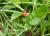 Img.VTax686.Ex3.Img1