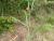 Img.VTax686.Ex3.Img2