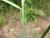 Img.VTax686.Ex3.Img3