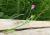 Img.VTax688.Ex1.Img1