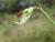 Img.VTax688.Ex1.Img2