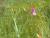Img.VTax688.Ex1.Img3