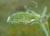 Img.VTax688.Ex1.Img4