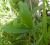 Img.VTax692.Ex3.Img3