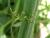 Img.VTax692.Ex3.Img5