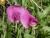 Img.VTax692.Ex3.Img6