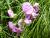 Img.VTax693.Ex2.Img1
