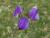 Img.VTax698.Ex1.Img1