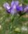 Img.VTax698.Ex1.Img2
