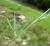 Img.VTax698.Ex1.Img3