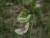 Img.VTax698.Ex1.Img5
