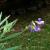 Img.VTax698.Ex1.Img6