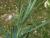 Img.VTax698.Ex1.Img8
