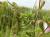 Img.VTax708.Ex1.Img1