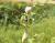 Img.VTax708.Ex1.Img2