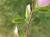 Img.VTax708.Ex1.Img3