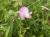 Img.VTax708.Ex1.Img4