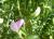 Img.VTax708.Ex1.Img5