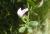 Img.VTax708.Ex1.Img6