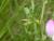 Img.VTax708.Ex1.Img7
