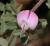Img.VTax709.Ex1.Img1