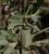 Img.VTax709.Ex1.Img2