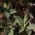 Img.VTax709.Ex1.Img3