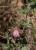 Img.VTax709.Ex1.Img5