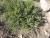 Img.VTax712.Ex1.Img1