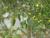 Img.VTax718.Ex1.Img1