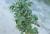 Img.VTax721.Ex1.Img3