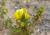 Img.VTax721.Ex2.Img1