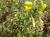 Img.VTax721.Ex2.Img2