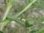 Img.VTax722.Ex1.Img2
