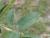 Img.VTax722.Ex1.Img8
