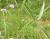 Img.VTax736.Ex1.Img1