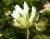 Img.VTax736.Ex1.Img3