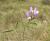 Img.VTax736.Ex1.Img5