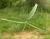 Img.VTax736.Ex1.Img6