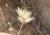 Img.VTax736.Ex2.Img2