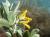 Img.VTax742.Ex1.Img1