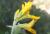 Img.VTax742.Ex1.Img2
