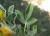 Img.VTax742.Ex1.Img3