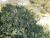 Img.VTax742.Ex1.Img6