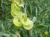 Img.VTax742.Ex1.Img8