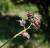 Img.VTax747.Ex1.Img1