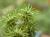 Img.VTax757.Ex1.Img2